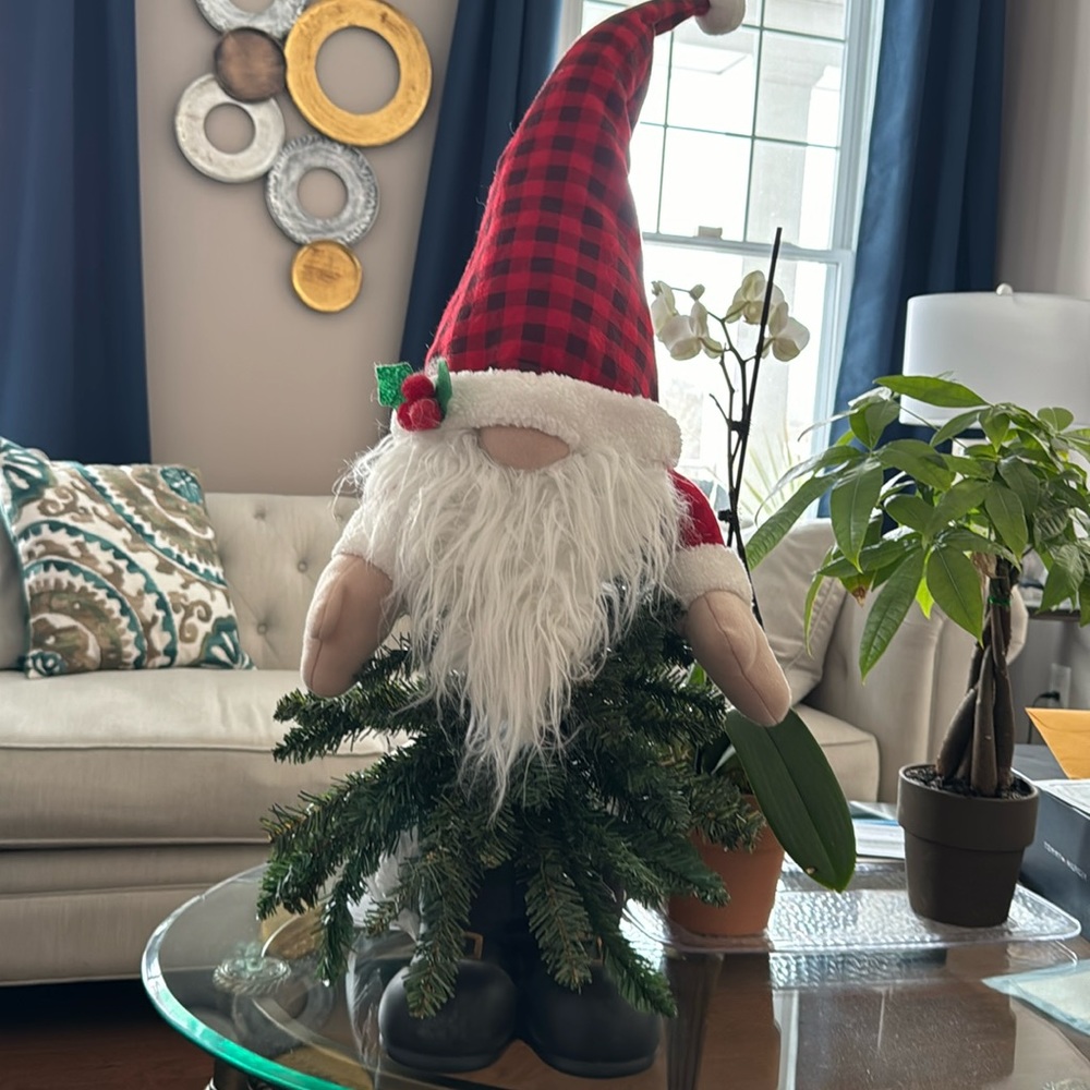 New Christmas gnome, couldn’t use it due to our puppy.